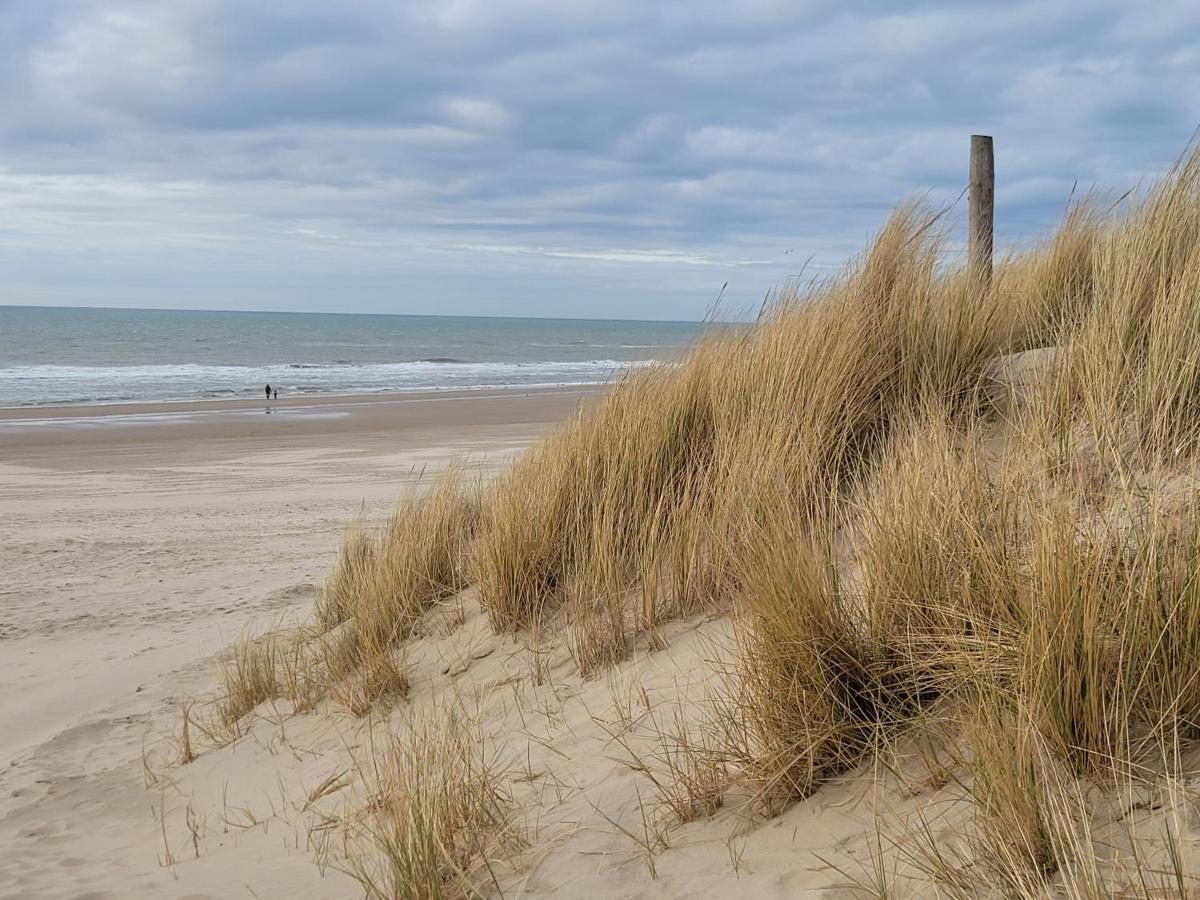 Tiny Villa De Haas Met Infraroodsauna Egmond aan Zee Eksteriør billede