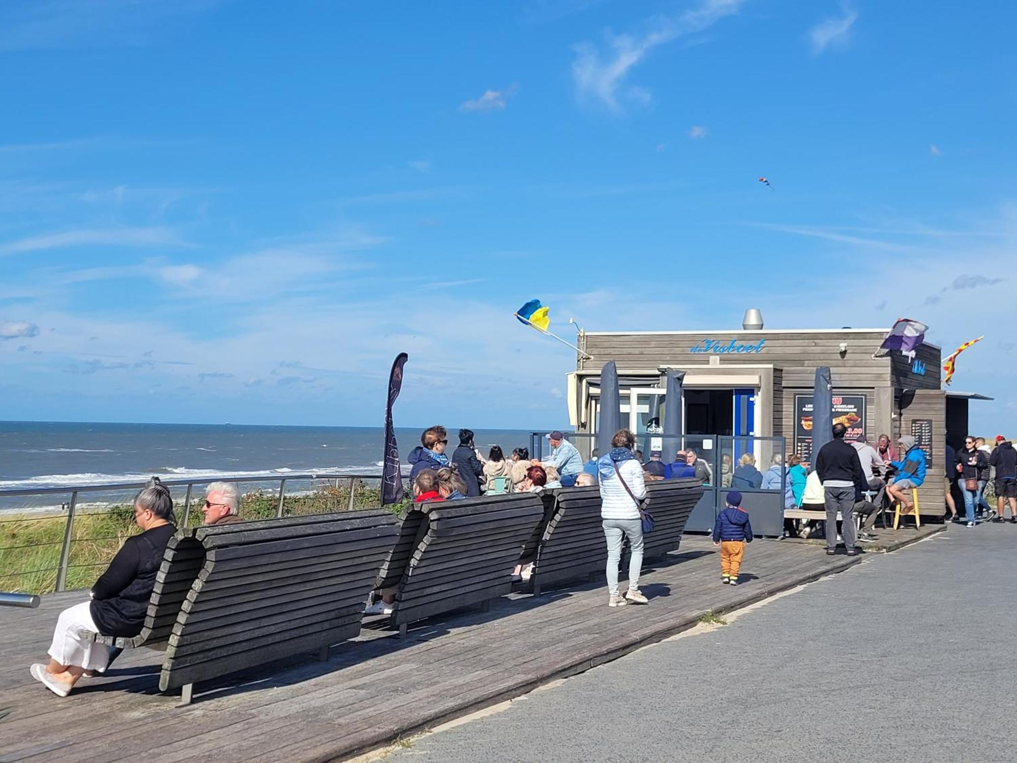 Tiny Villa De Haas Met Infraroodsauna Egmond aan Zee Eksteriør billede