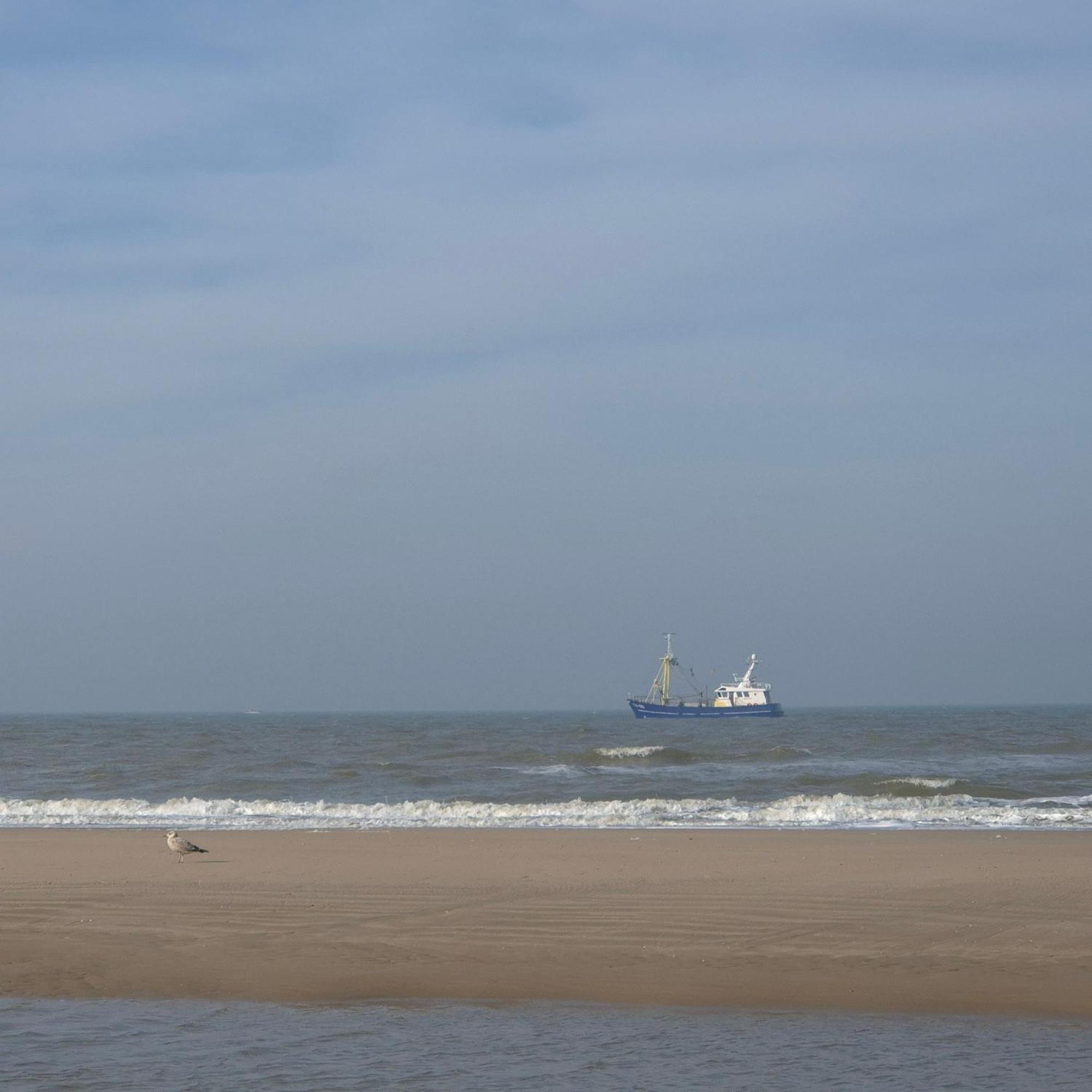 Tiny Villa De Haas Met Infraroodsauna Egmond aan Zee Eksteriør billede