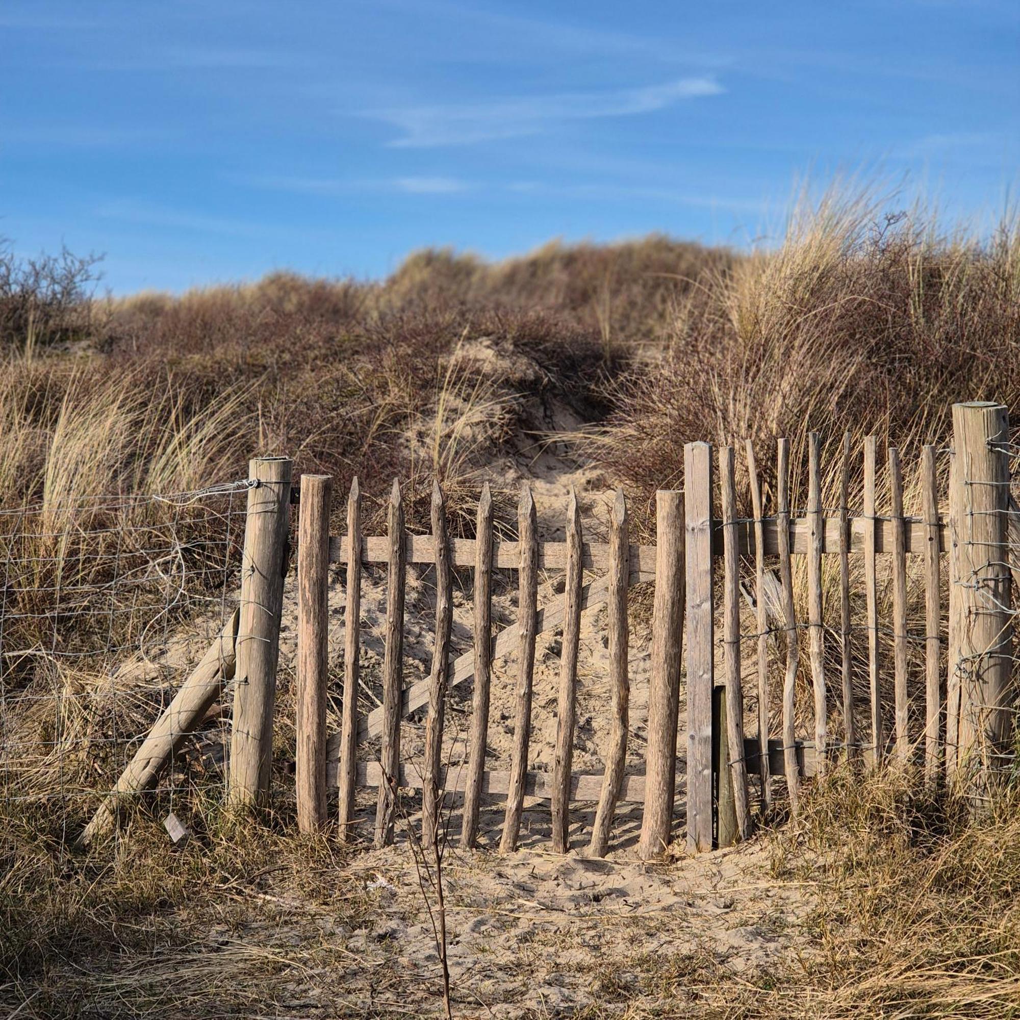 Tiny Villa De Haas Met Infraroodsauna Egmond aan Zee Eksteriør billede
